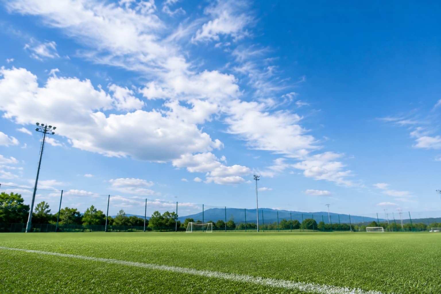 朝の練習前にコンディションを確認するスポーツチームを想起させるフィールド